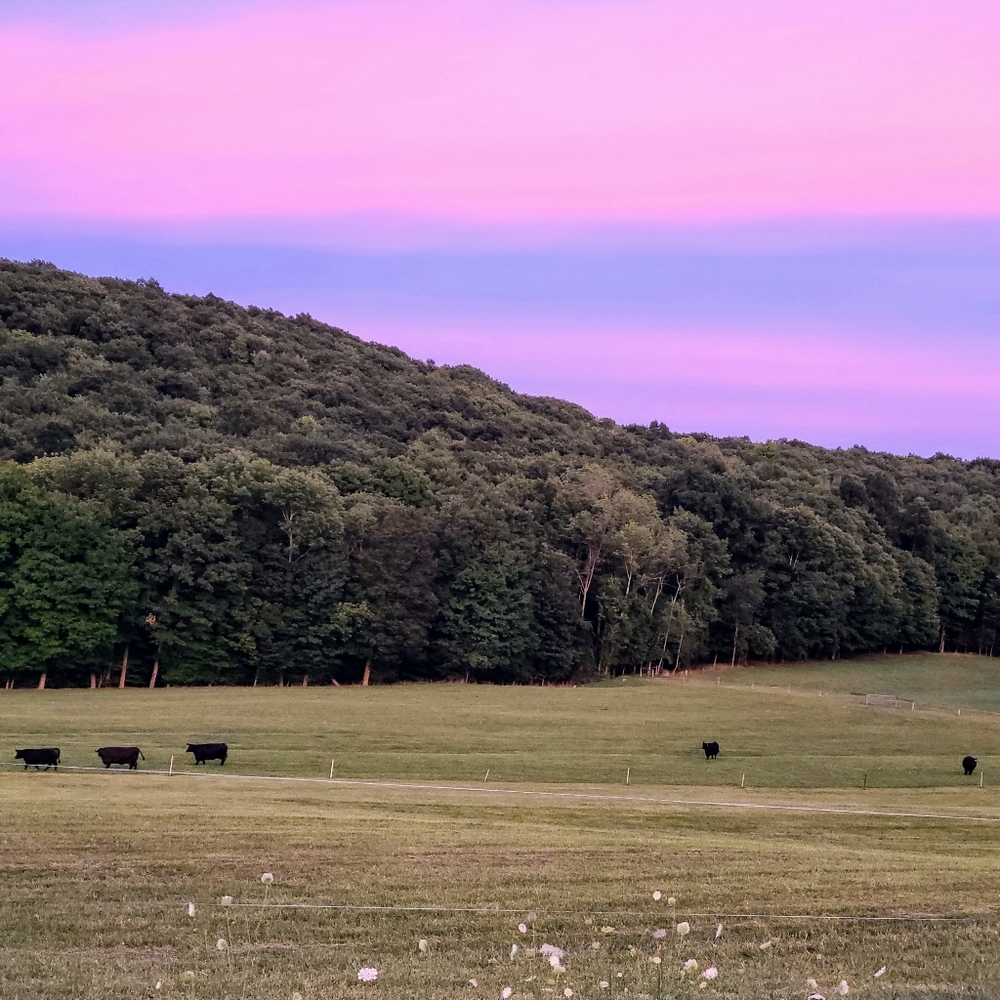 Meet your Posher, Veronica